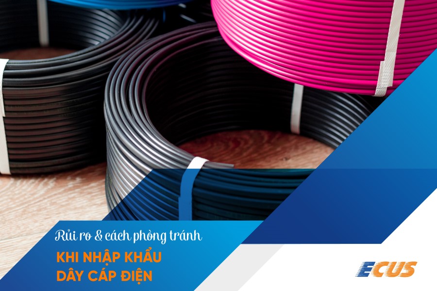 cách phòng tránh rủi ro khi nhập khẩu