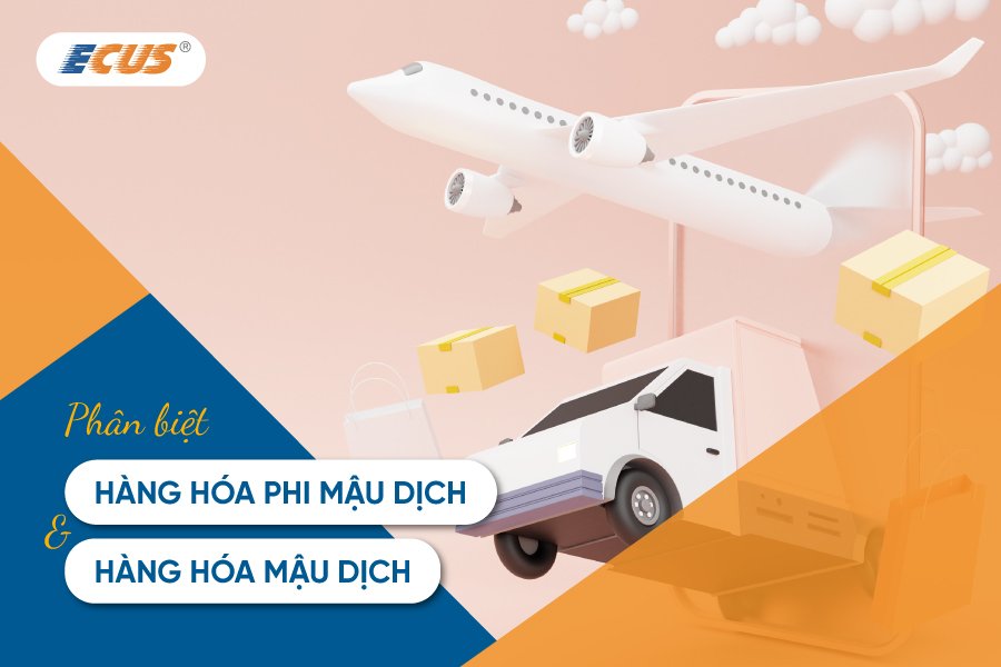 Phân biệt giữa hàng hóa phi mậu dịch và hàng hóa mậu dịch