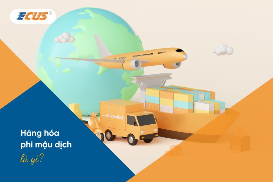 Hàng hóa phi mậu dịch không nhằm mục đích thương mại