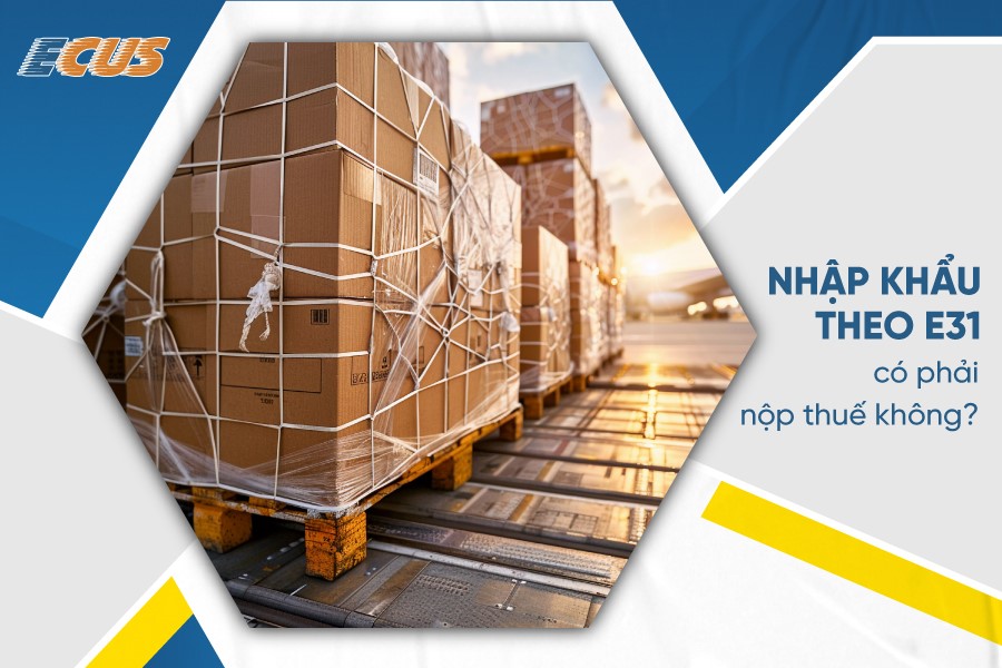 Quy định thuế khi nhập khẩu theo E31