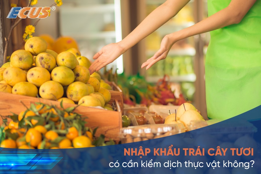 Quy định kiểm dịch