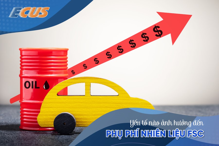 Yếu tố ảnh hưởng đến FSC