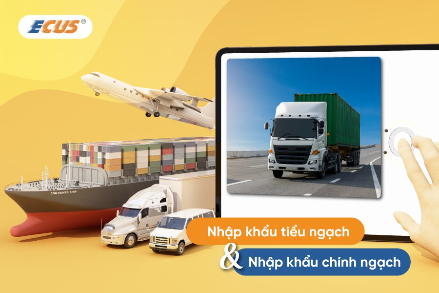 Chính ngạch và tiểu ngạch là 02 hình thức giao dịch thương mại quốc tế hợp pháp