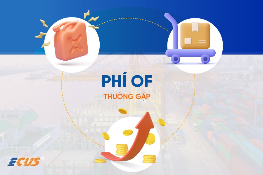 Có 02 loại phí OF phổ biến trong vận tải đường biển
