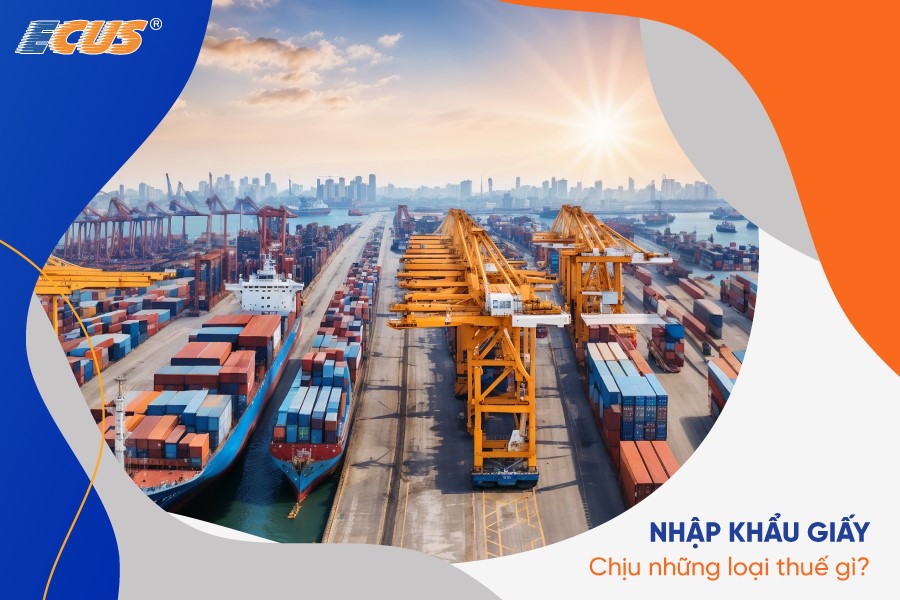 Nhập khẩu giấy