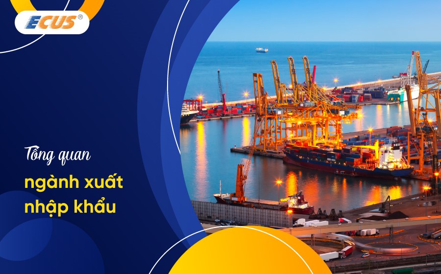 Tổng quan về nghiệp vụ xuất nhập khẩu cho người mới bắt đầu