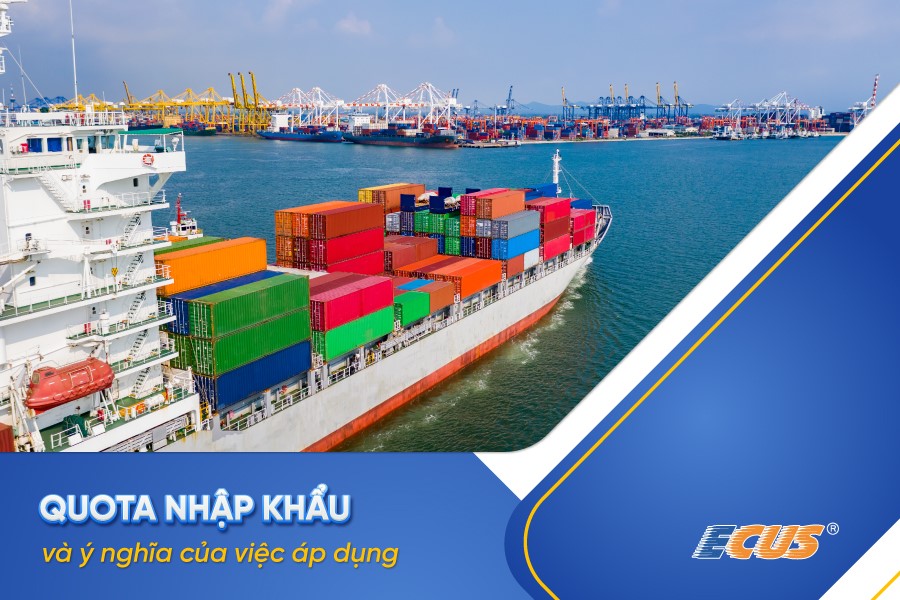 Quota nhập khẩu là gì? Những quy định và thủ tục thương nhân cần biết