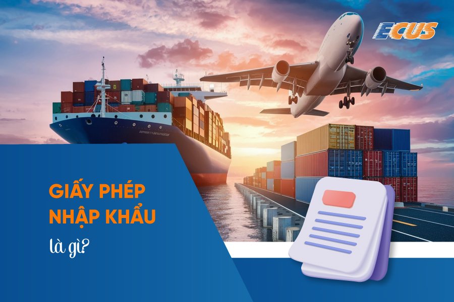 Giấy phép nhập khẩu là gì? Thủ tục xin giấy phép nhập khẩu theo hạn ngạch thuế quan