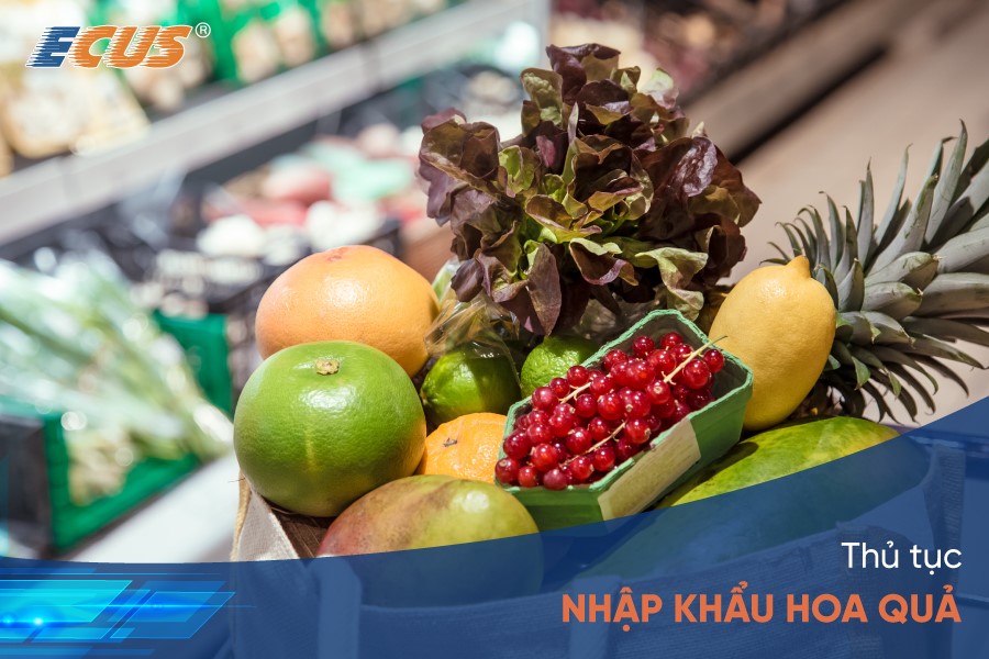 Nhập khẩu hoa quả: Hướng dẫn thủ tục theo quy định của Chính Phủ