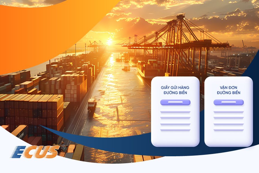 So sánh giấy gửi hàng đường biển và vận đơn đường biển