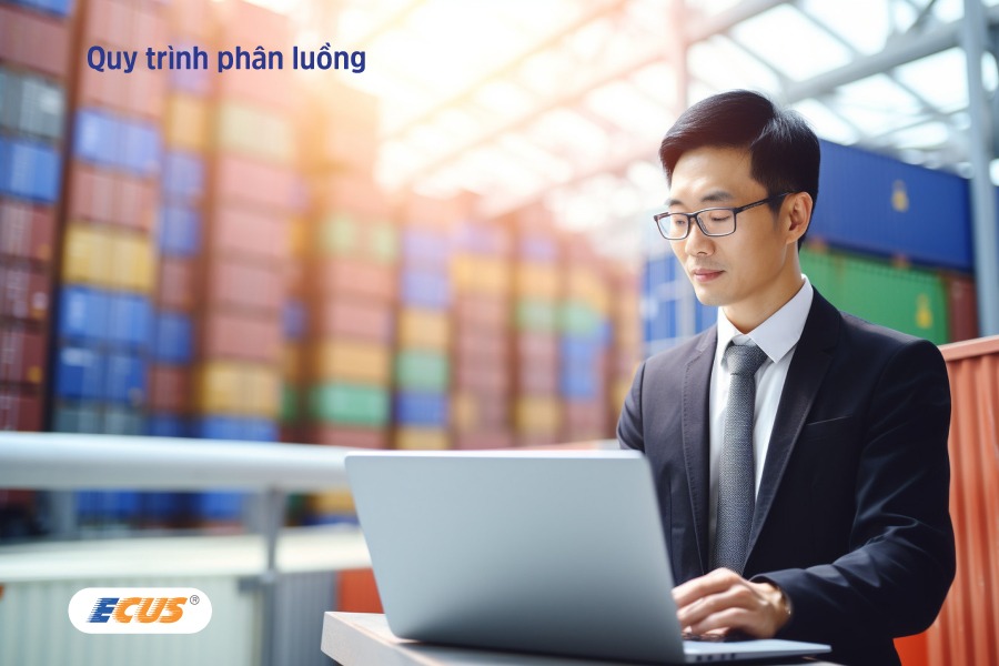 Cách thức phân luồng hải quan