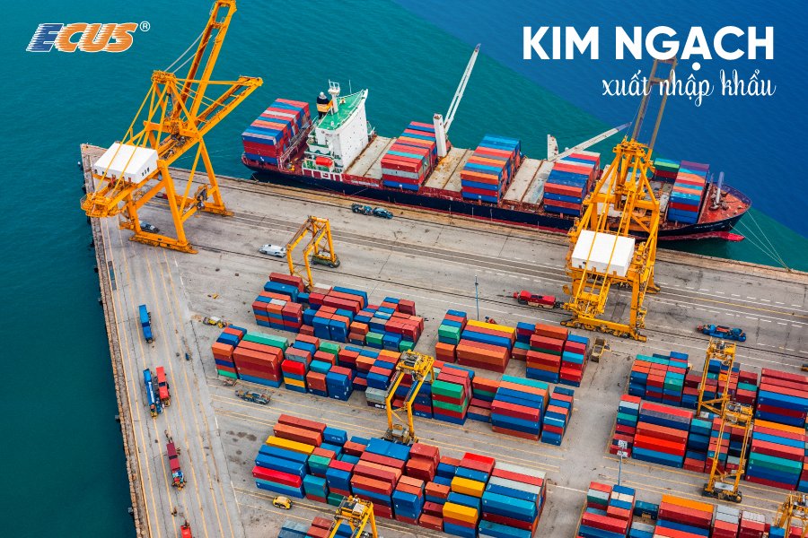 Kim ngạch xuất nhập khẩu là một thuật ngữ kinh tế phản ánh tình hình cán cân thương mại của quốc gia