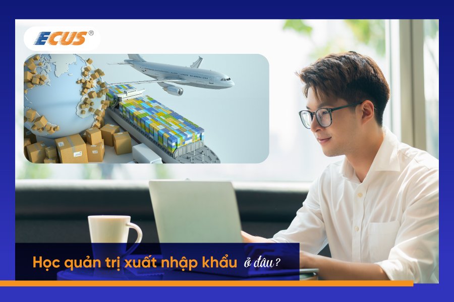 Nhiều trường Đại học tại Việt Nam hiện đang đào tạo Quản trị XNK