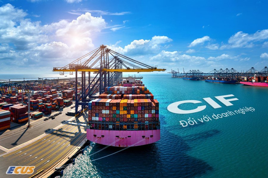 CIF giúp doanh nghiệp so sánh chi phí giữa các nhà cung cấp quốc tế