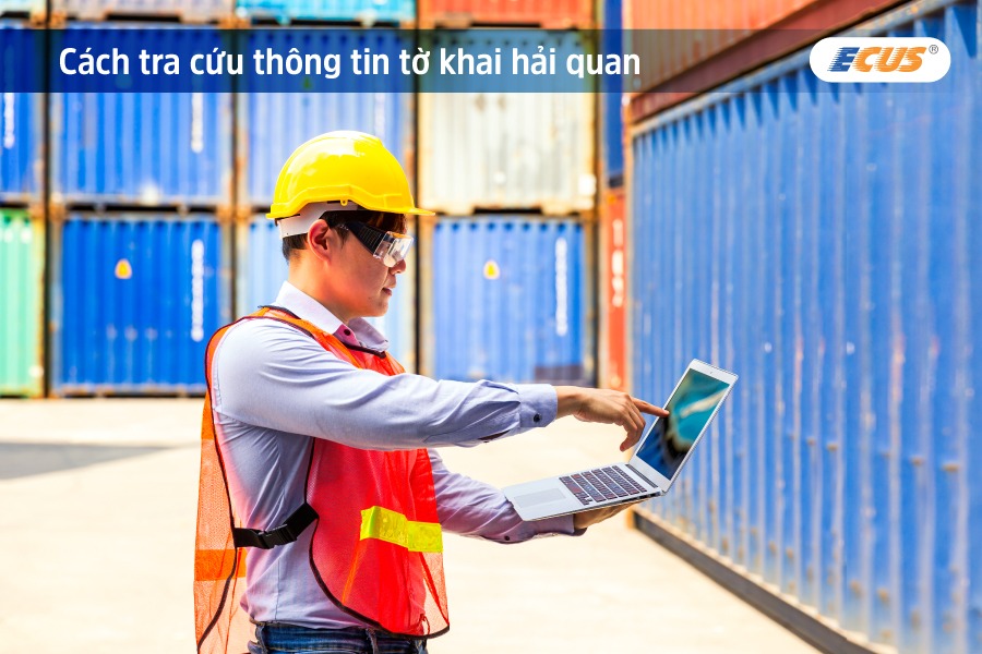 Đọc tờ khai hải quan sau khi tra cứu.