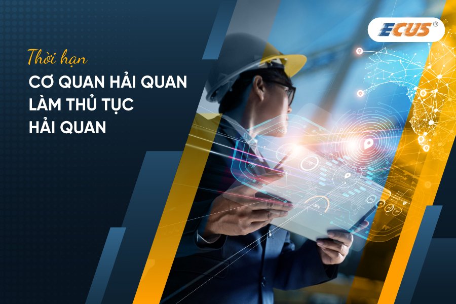 thời hạn cơ quan hải quan làm thủ tục để xác định thời điểm nhận kết quả