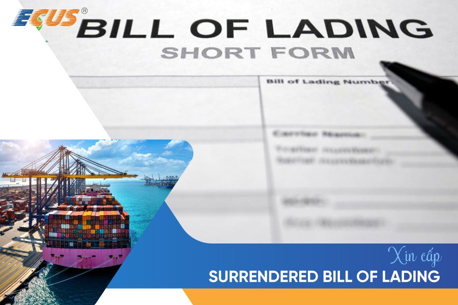 Xin cấp vận đơn đã xuất trình tại cảng gửi