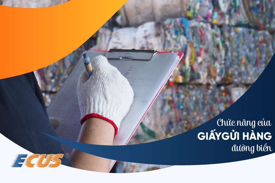 Giấy gửi hàng đường biển có vai trò quan trọng trong vận chuyển hàng hóa