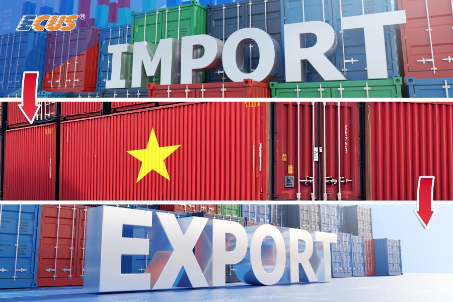 Hàng hóa nhập khẩu vào Việt Nam sau đó xuất khẩu sẽ không được hoàn thuế