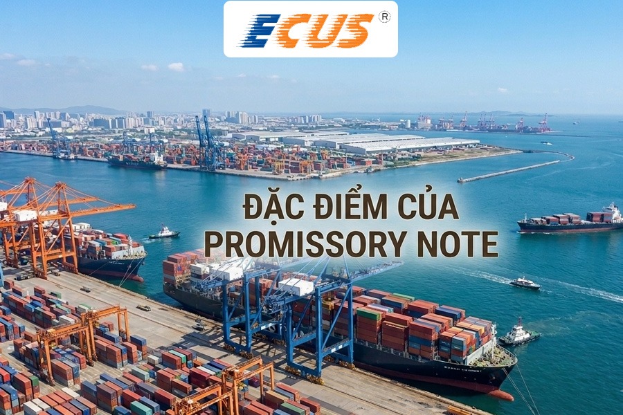 Những đặc điểm chính của lệnh phiếu.