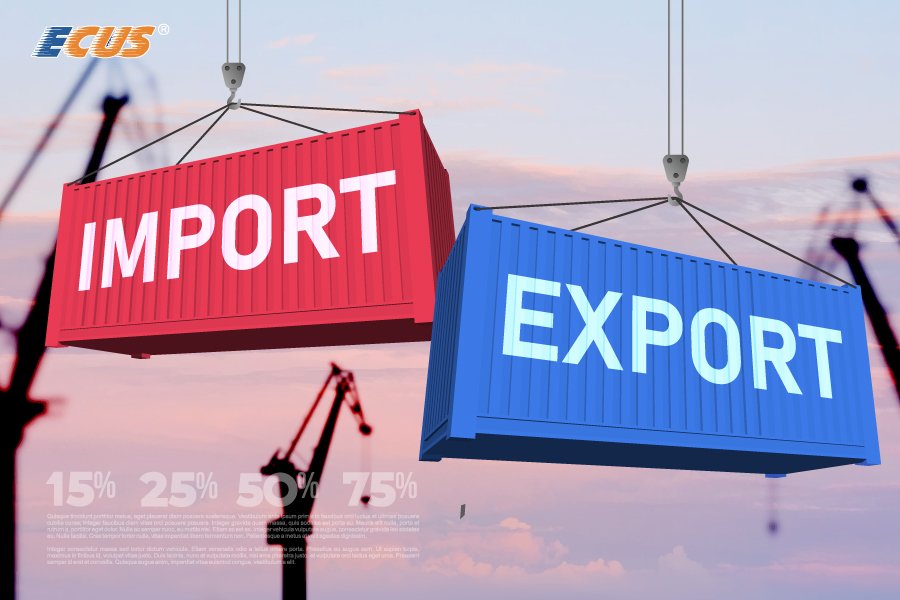 Kim ngạch xuất nhập khẩu phản ánh sức mạnh sản xuất và tiêu dùng của quốc gia