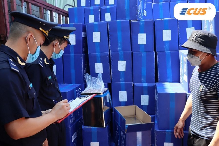 Cán bộ Hải quan kiểm tra, xử lý vi phạm trong nhập khẩu hàng hoá.