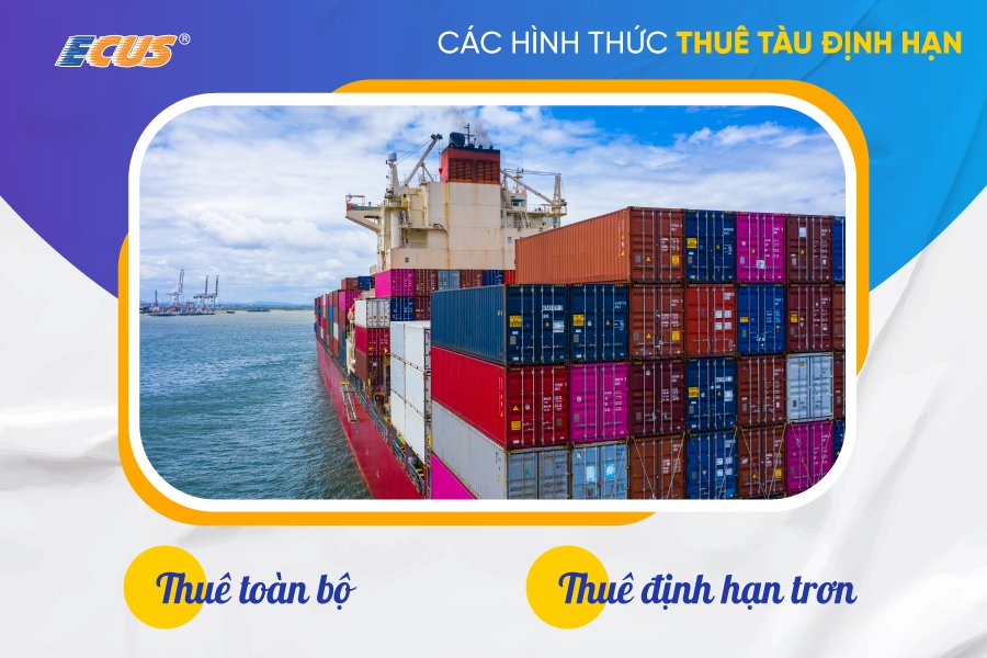 hình thức thuê tàu định hạn