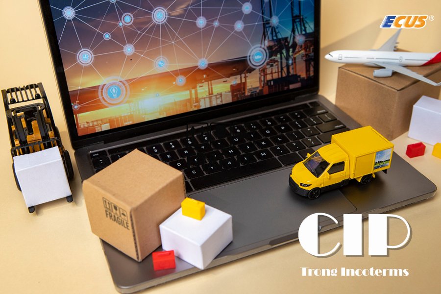 Ưu điểm nổi bật của CIP là giúp giảm gánh nặng chi phí cho người mua