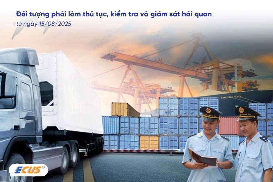 Các đối tượng bắt buộc phải làm thủ tục hải quan theo Nghị định 167
