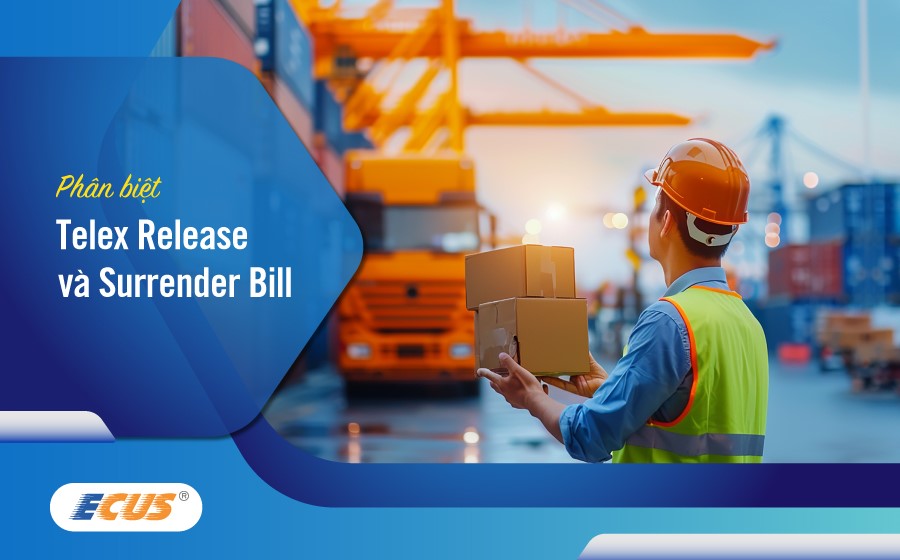 Telex Release và Surrender Bill