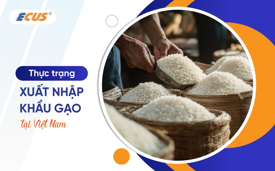 Xuất nhập khẩu gạo