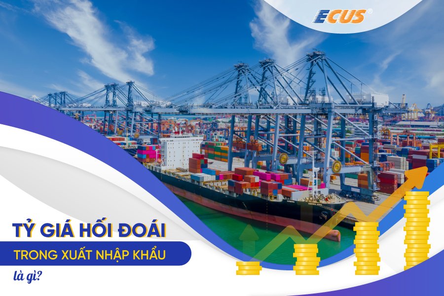 Liên hệ giữa Tỷ giá hối đoái và xuất nhập khẩu