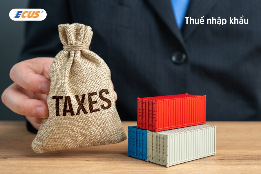 Hàng nhập khẩu từ nước ngoài phải chịu thuế nhập khẩu.